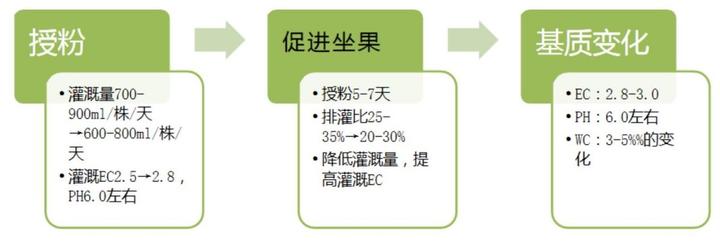 北京附近西瓜种植基地_致富经种西瓜致富的事_致富经种西瓜北京