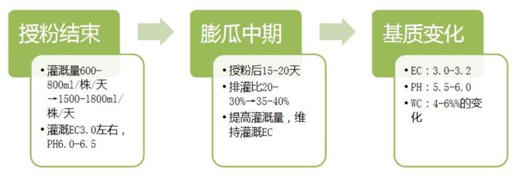 致富经种西瓜北京_北京附近西瓜种植基地_致富经种西瓜致富的事