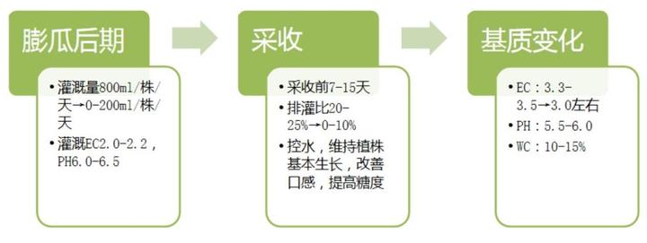 北京附近西瓜种植基地_致富经种西瓜北京_致富经种西瓜致富的事