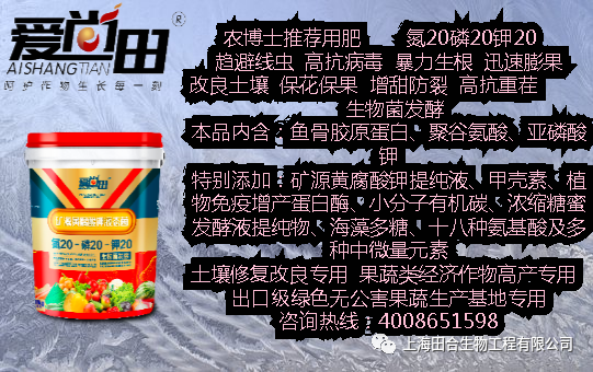 西红柿养殖视频教程_西红柿养殖技术视频_西红柿养殖技术