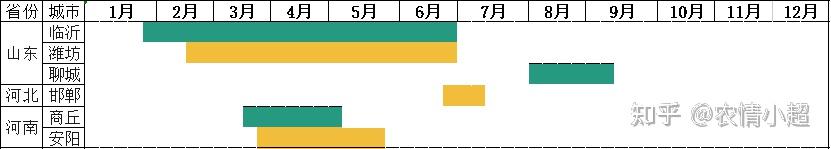 河北西瓜种植基地_西瓜河北种植露地技术要求_河北露地西瓜种植技术