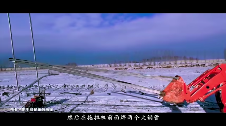 大棚芸豆种什么品种好_大棚芸豆种植技术视频_大棚芸豆高效栽培技术