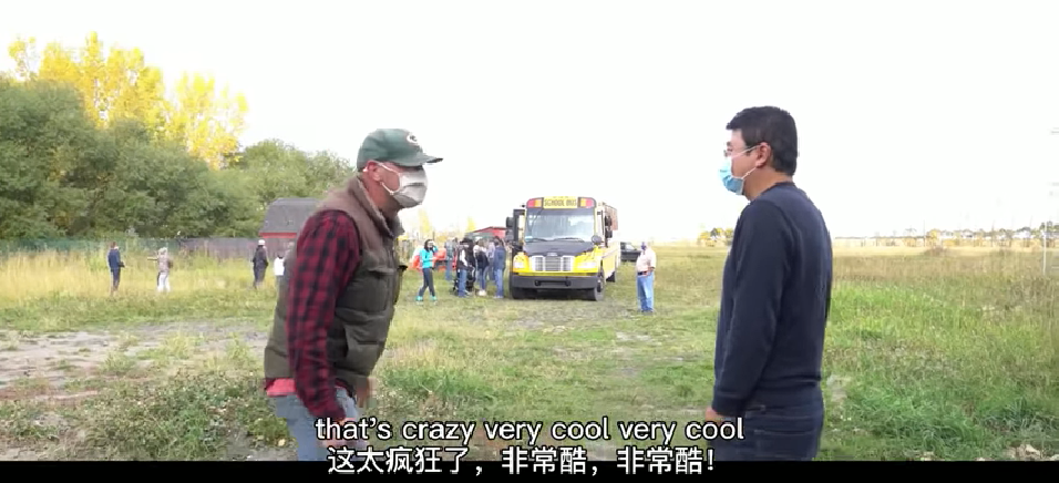 大棚芸豆高效栽培技术_大棚芸豆种植技术视频_大棚芸豆种什么品种好