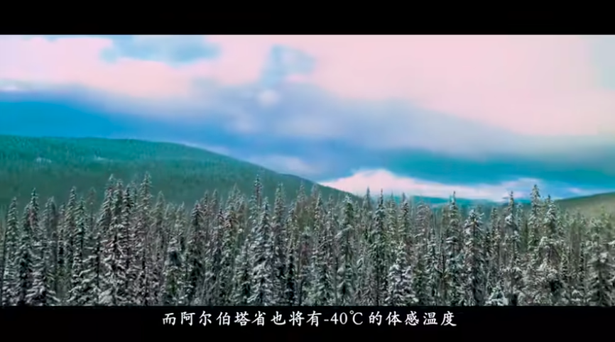 大棚芸豆种什么品种好_大棚芸豆种植技术视频_大棚芸豆高效栽培技术