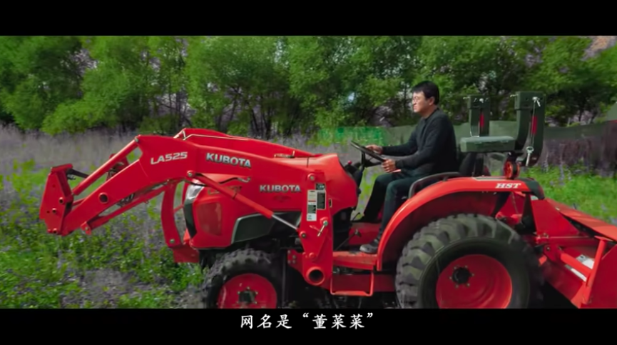 大棚芸豆高效栽培技术_大棚芸豆种植技术视频_大棚芸豆种什么品种好