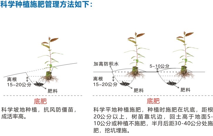 上山看树本.jpg