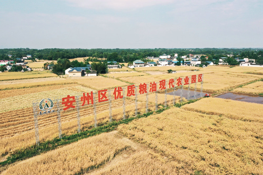 绵阳致富养殖_四川绵阳养殖公司_绵阳养殖业