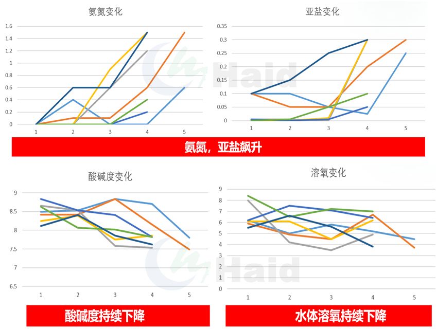 养雕鱼好吗_黑雕鱼养殖技术怎样_雕刻鱼的饲养方法