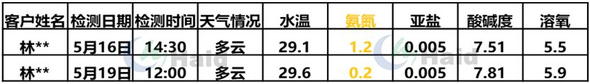 雕刻鱼的饲养方法_黑雕鱼养殖技术怎样_养雕鱼好吗