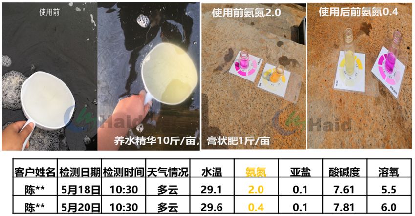 养雕鱼好吗_黑雕鱼养殖技术怎样_雕刻鱼的饲养方法