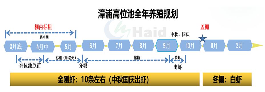 黑雕鱼养殖技术怎样_雕刻鱼的饲养方法_养雕鱼好吗