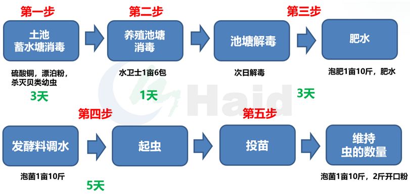 雕刻鱼的饲养方法_黑雕鱼养殖技术怎样_养雕鱼好吗