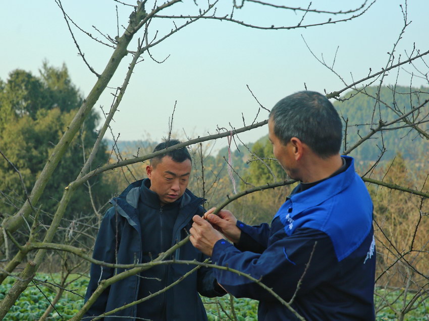 柯昌军：不忘初心使命 带领村民奔向致富路