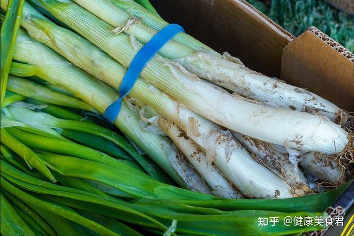 大葱种植技术视频农广天地_大葱的种植技术整套视频_大葱种植视频教程