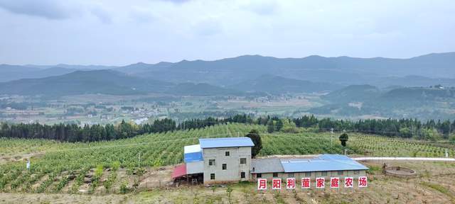 四川绵阳养殖公司_绵阳致富养殖_绵阳养殖技术