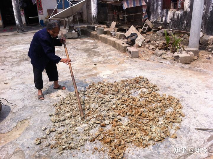 海南青金桔种植户_海南青金桔种植技术_海南种植青金桔技术与管理