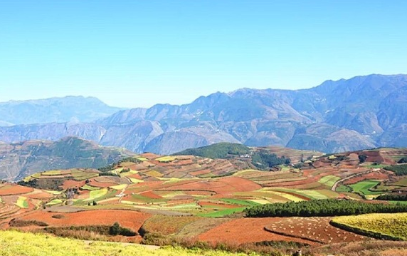 致富种植红色土壤视频_红色土地适合种植什么_红色土壤种植致富