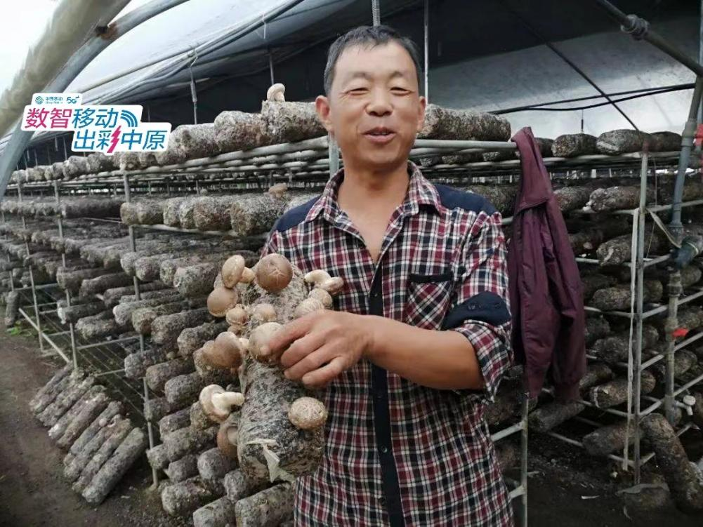 农村香菇种植赚钱_致富香菇种植农村图片大全_农村种植香菇致富