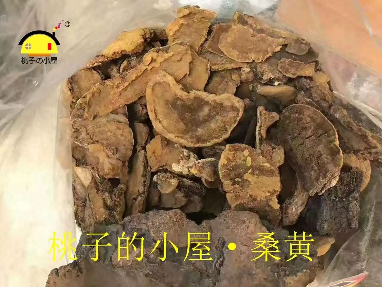 鱼目草种植技术_种植草目鱼技术要求_种植草目鱼技术视频