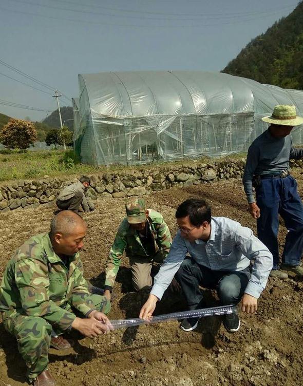 红色土壤种植致富_红土壤适合种什么果树_致富种植红色土壤视频