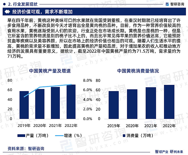 桃子加工厂要投资多少钱_致富经桃_致富经桃深加工