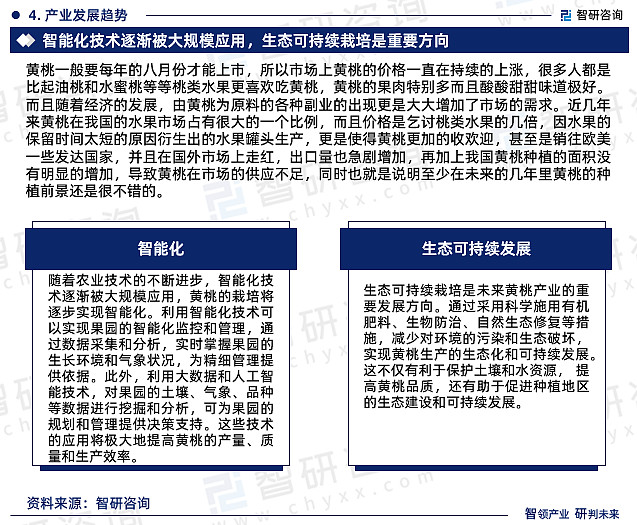 桃子加工厂要投资多少钱_致富经桃_致富经桃深加工