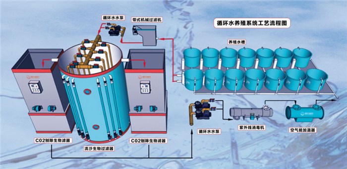 淡水河虾的养殖技术_淡水养殖河虾技术视频教程_淡水小河虾养殖