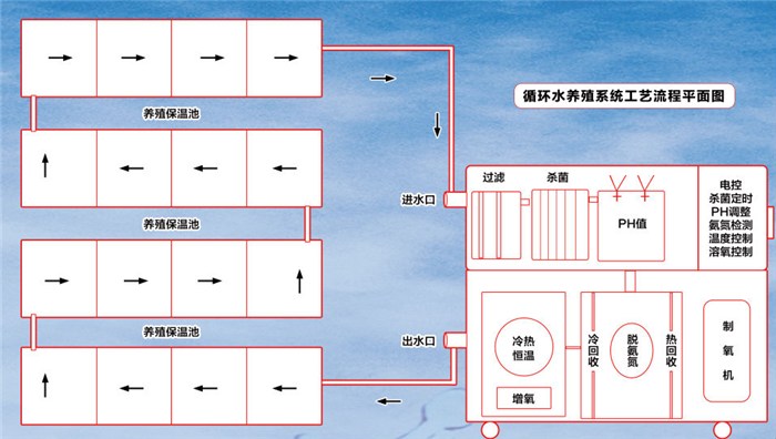 淡水小河虾养殖_淡水河虾的养殖技术_淡水养殖河虾技术视频教程