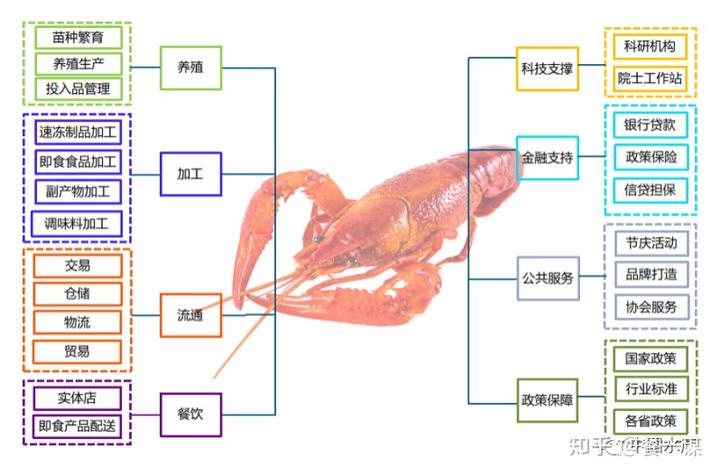 小龙虾全产业链图谱（2021）