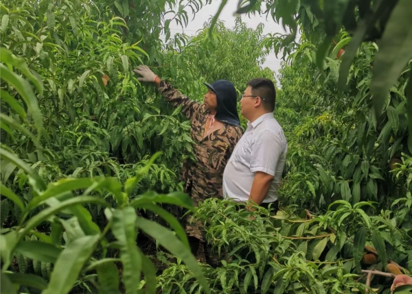 致富种植户图片_致富致富_致富户种植图片大全