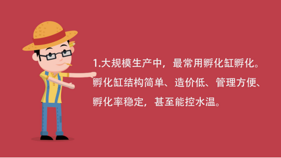 致富泥鳅养殖技术_致富养殖泥鳅技术视频教程_养殖泥鳅的技术