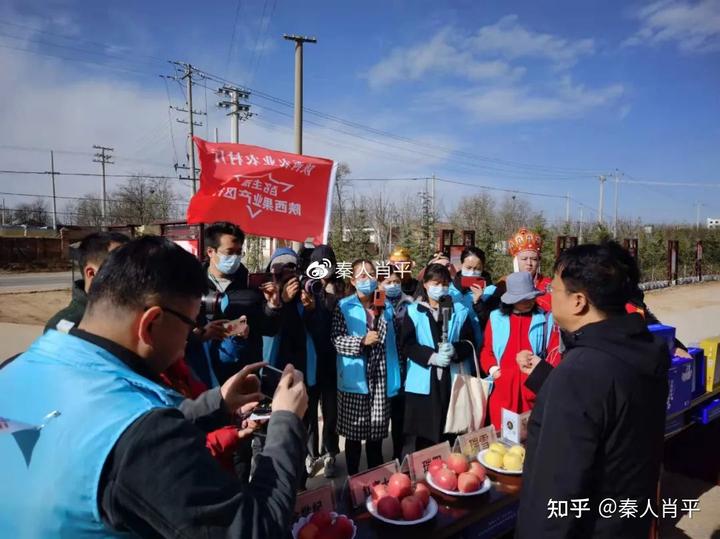 苹果种植致富故事_致富种植苹果故事视频_致富种植苹果故事简介