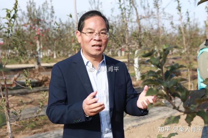 致富种植苹果故事视频_苹果种植致富故事_致富种植苹果故事简介