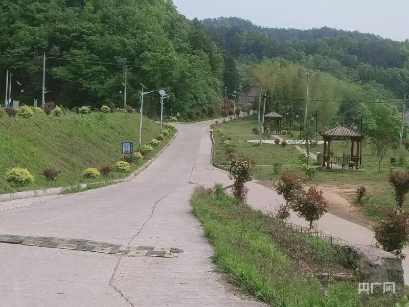 湖南娄底蛇形山：山沟沟里种出摇钱“薯”