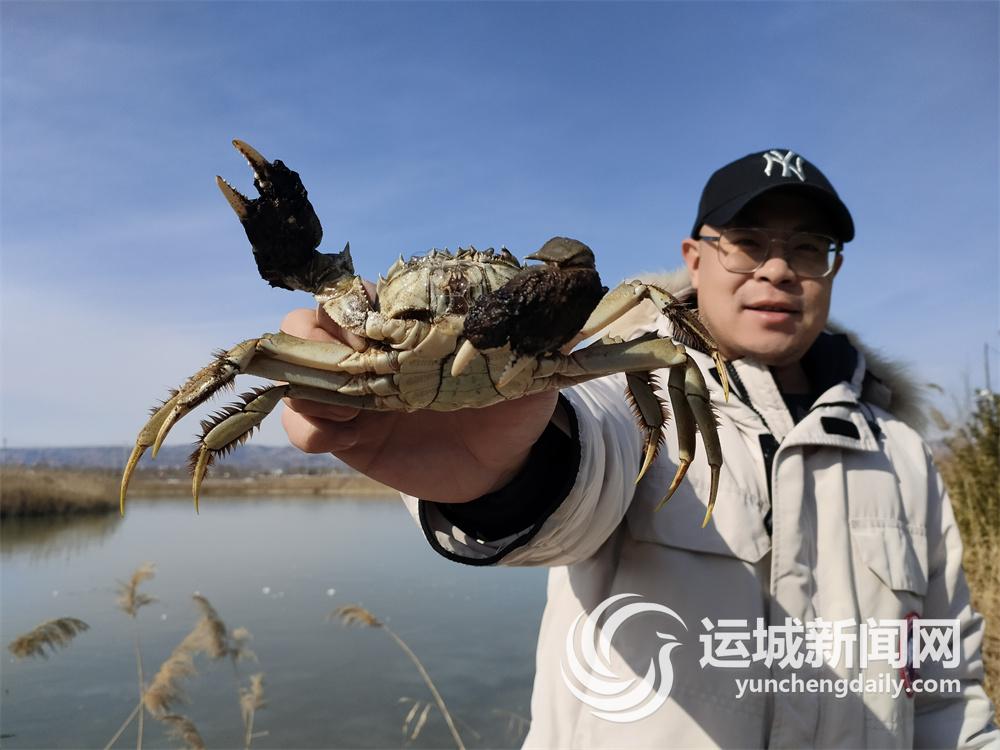 致富养殖大闸蟹故事简介_致富养殖大闸蟹故事内容_养殖大闸蟹致富故事