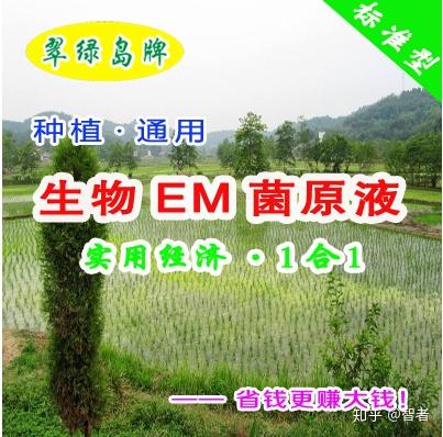 “新型农业种植这8种蔬菜，收入能翻倍，不知道亏大了”