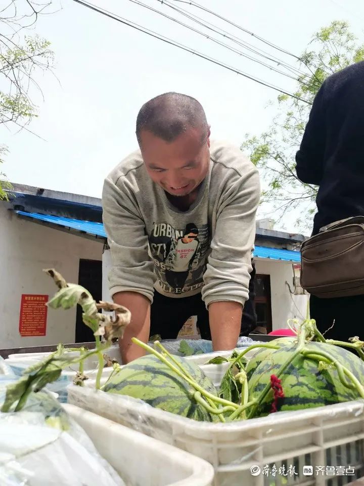 致富辣椒大棚种菜视频_致富辣椒大棚种菜怎么样_致富经大棚种菜辣椒