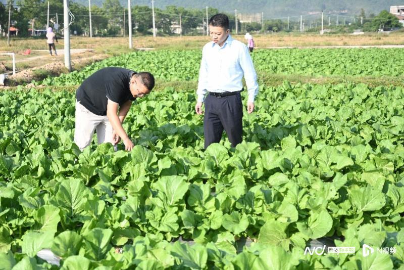 苗木种植致富故事_致富苗木种植故事视频_种树致富的故事