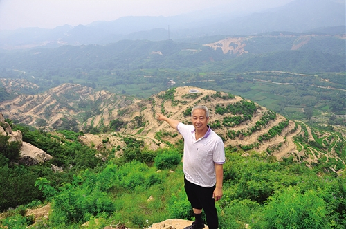 林果种植致富_致富种植果林图片_果树种植致富经