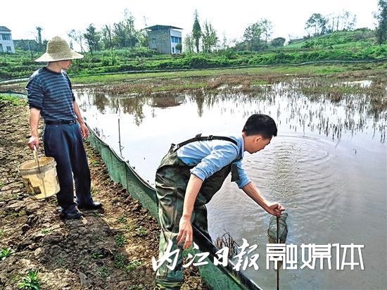 养殖稻虾，探出一条致富路