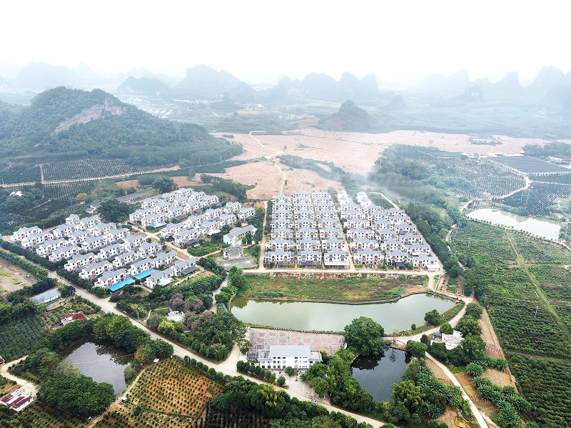 致富养殖黑乌鸡怎么样_致富养殖黑乌鸡好吗_养殖黑乌鸡致富经