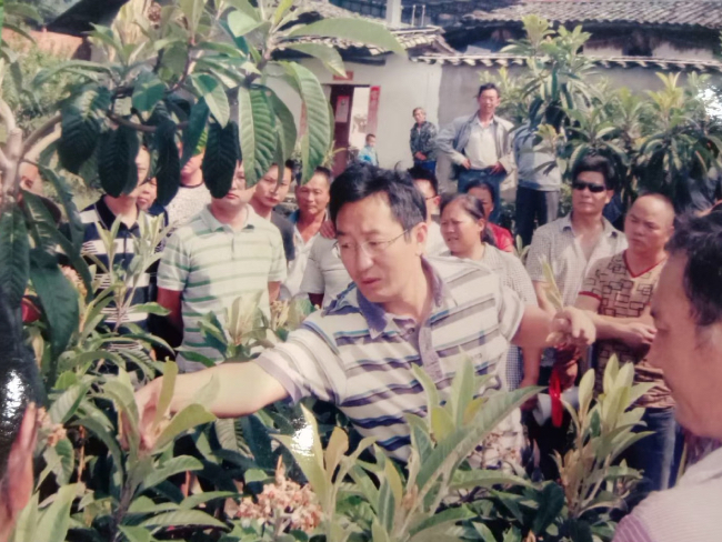 种植桑椹前景怎么样_致富经里桑椹种植_种桑椹能致富吗