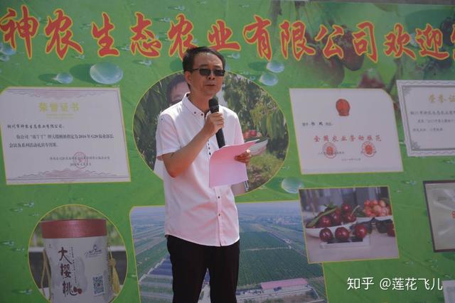 致富种植樱桃大树视频_大樱桃种植致富_种植大樱桃利润如何
