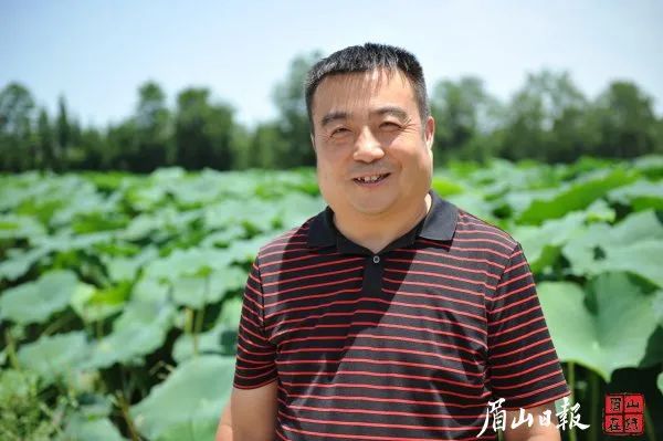 种植桑椹前景怎么样_致富经里桑椹种植_致富经桑椹果种植