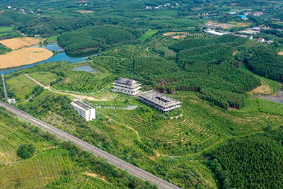 湖北致富经_湖北种植什么赚钱_湖北种植致富视频