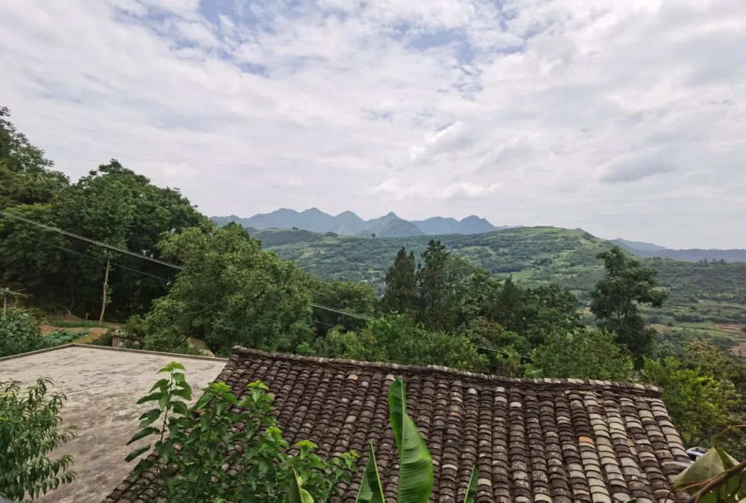 致富经土鸡养殖技术视频_土鸡致富经视频视频_视频致富土鸡怎么做