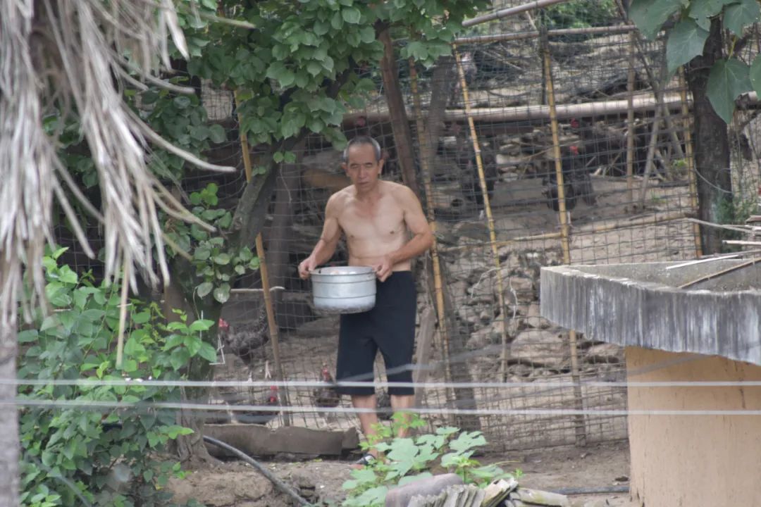 致富经土鸡养殖技术视频_视频致富土鸡怎么做_土鸡致富经视频视频