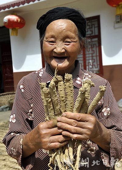 湖北致富项目_湖北种植致富视频_湖北种植什么赚钱