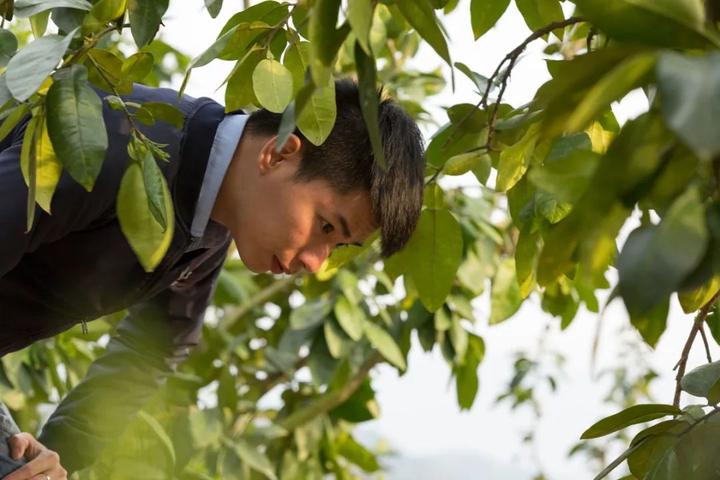 80后大学生种植致富果_90后讲种植_种植致富案例