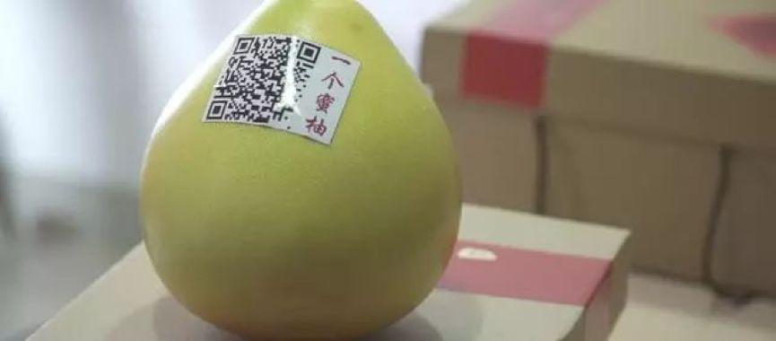 80后大学生种植致富果_90后讲种植_种植致富案例
